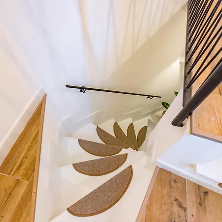 La Dalia Grottaferrata